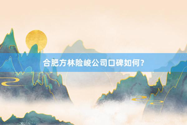 合肥方林险峻公司口碑如何？