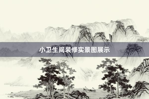 小卫生间装修实景图展示