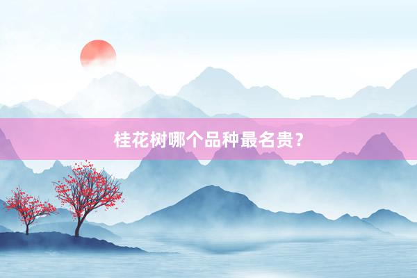 桂花树哪个品种最名贵？