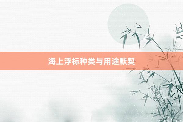 海上浮标种类与用途默契