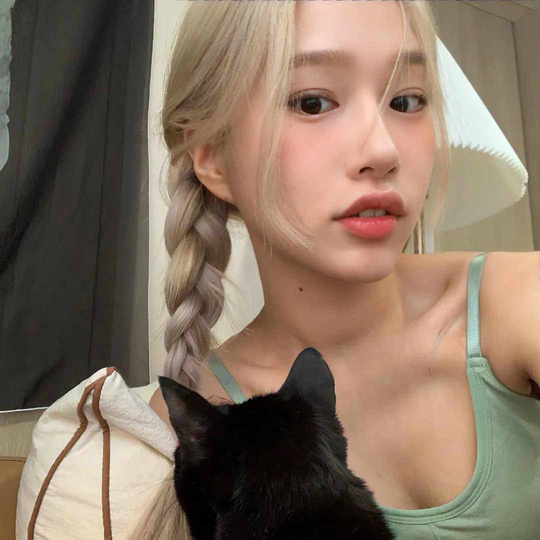 燕南飞，燕难归