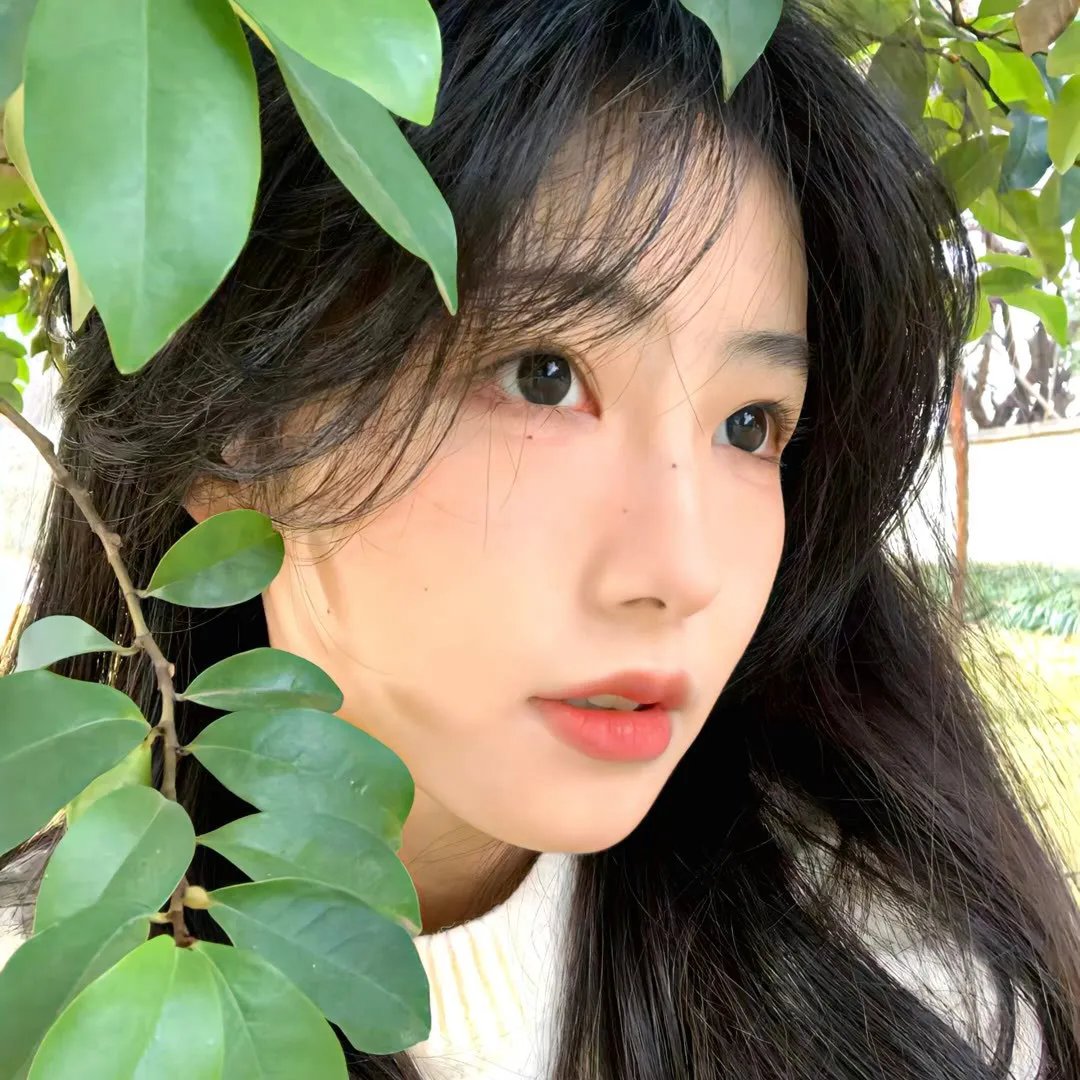 名门绅士2:淑女之心